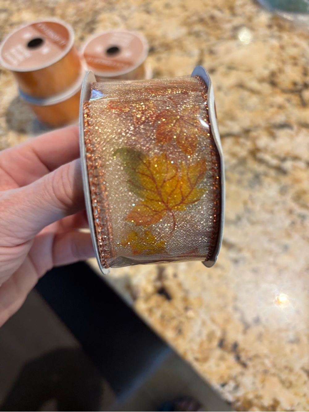 Fall Ribbon NWT - Picture 3 of 5